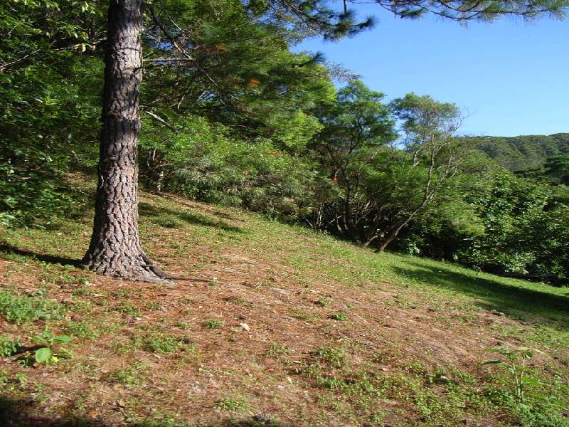 Lot 1 Middle Pocket Road, Billinudgel NSW 2483