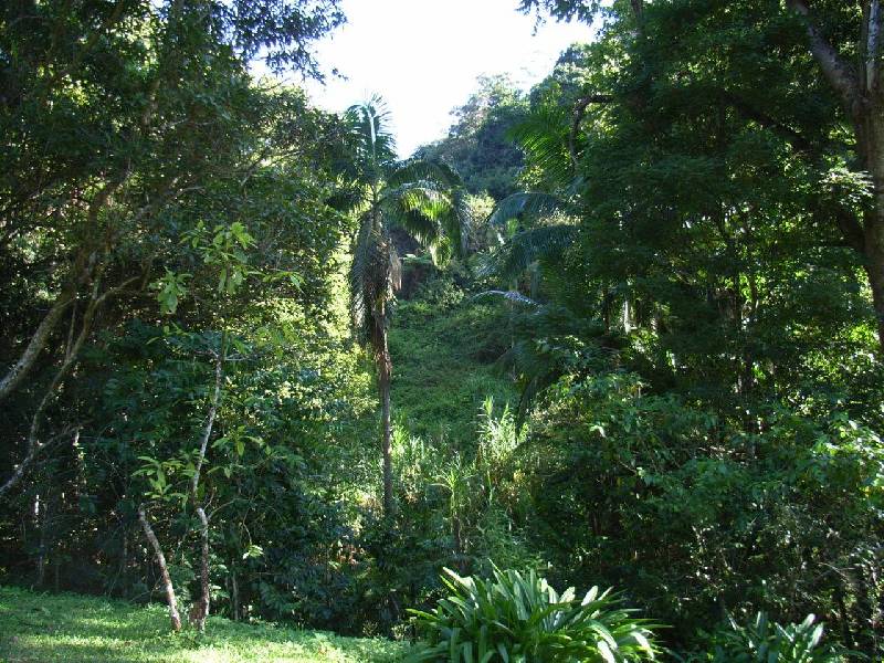 Lot 1 Middle Pocket Road, Billinudgel NSW 2483