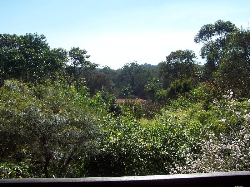 10 Nandroya Avenue, Ocean Shores NSW 2483