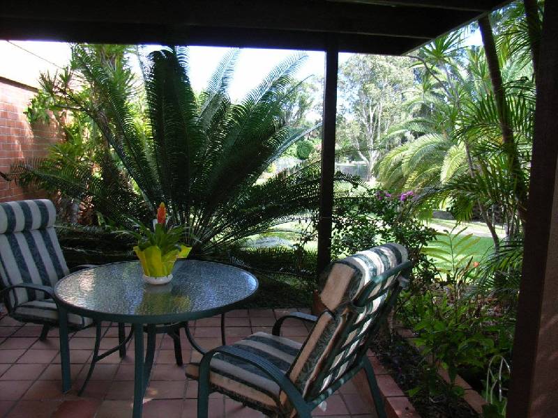 56 Narooma Drive, Ocean Shores NSW 2483