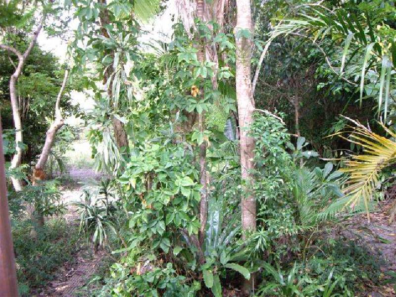 66 New Brighton Road, New Brighton NSW 2483