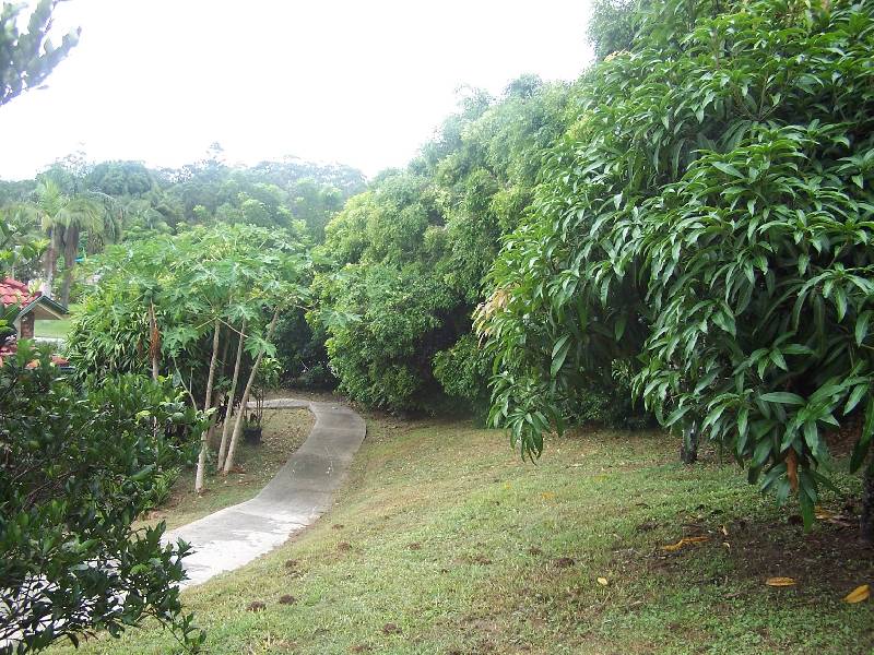 31 Rajah Road, Ocean Shores NSW 2483