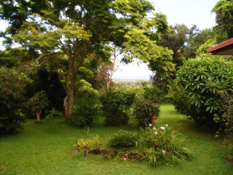 82 The Saddle Road, Mullumbimby NSW 2482
