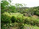 855 Smiths Creek Road, Stokers Siding NSW 2484