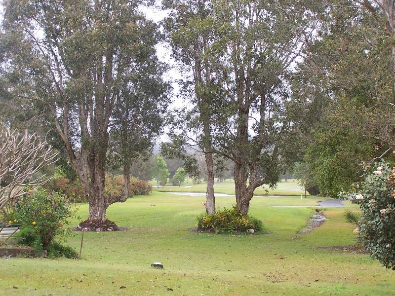 6 Terrara Court, Ocean Shores NSW 2483