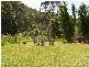 34 Wallaroo Drive, Burringbar NSW 2483