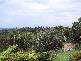 4A Yackatoon Crt, Ocean Shores NSW 2483