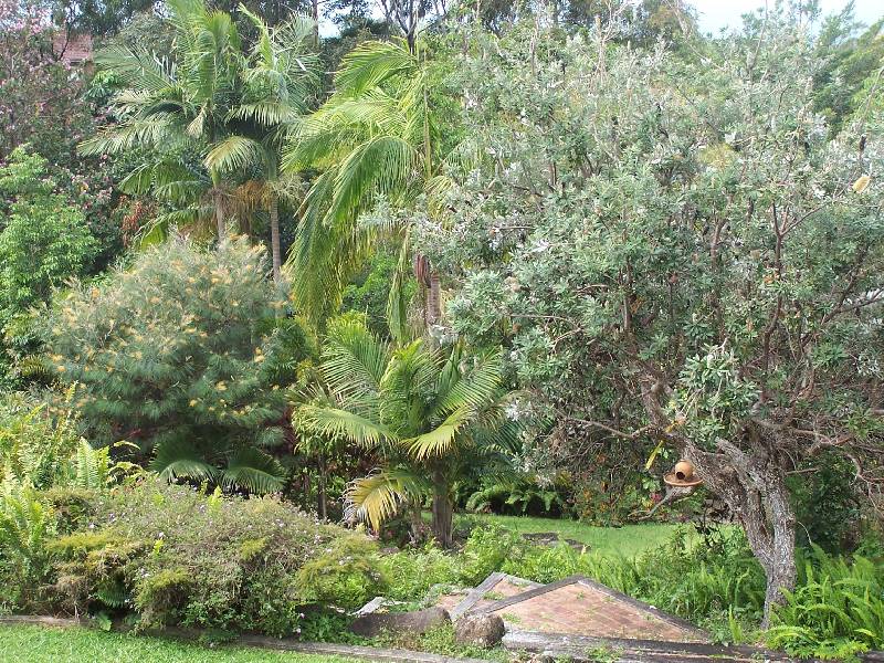 4A Yackatoon Crt, Ocean Shores NSW 2483