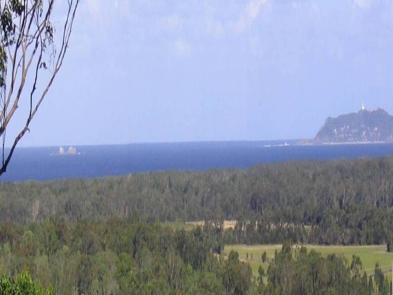 31 Yallakool Drive, Ocean Shores NSW 2483