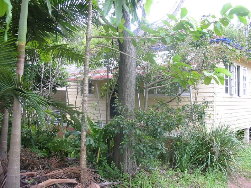 1/88 Coolibah Street, Bardon QLD 4065