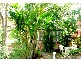 50  Exeter St, Ashgrove QLD 4060