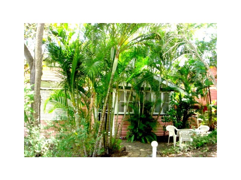 50  Exeter St, Ashgrove QLD 4060