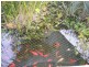 129 Logan St, Eagleby QLD 4207