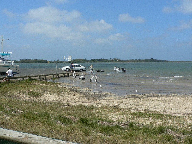 Jacobs Well QLD 4208