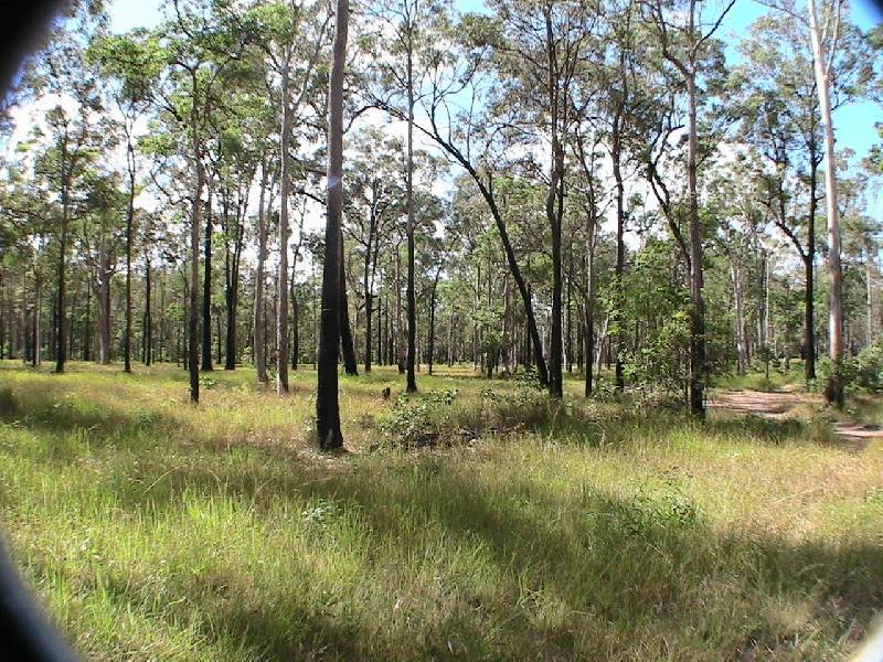 252-345  Coorang Road, Carbrook QLD 4130