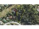 16 Lenna Crt, Mount Warren Park QLD 4207