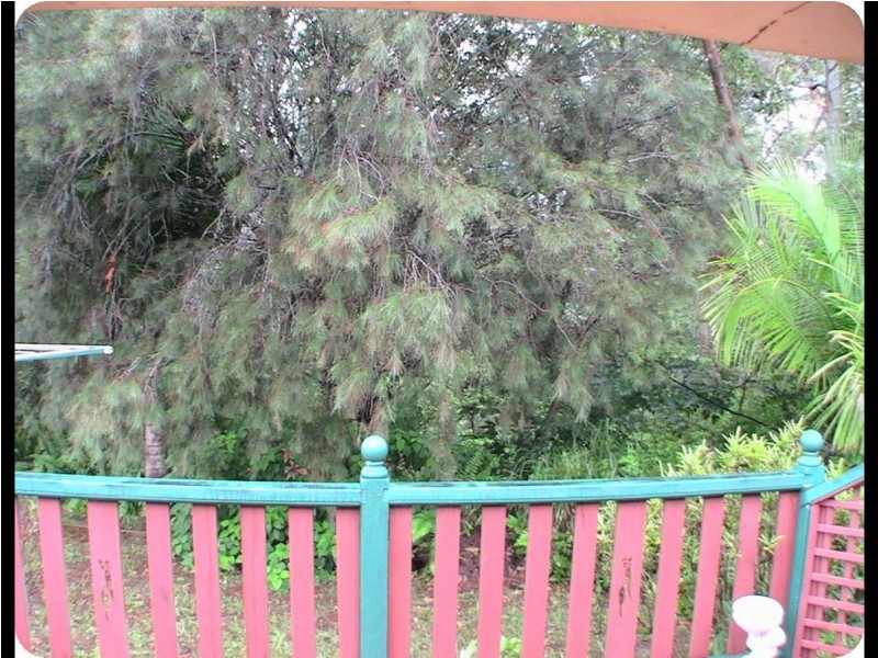 Bethania QLD 4205
