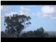 Edens Landing QLD 4207
