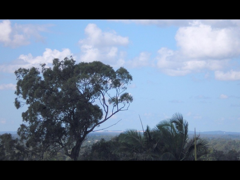 Edens Landing QLD 4207
