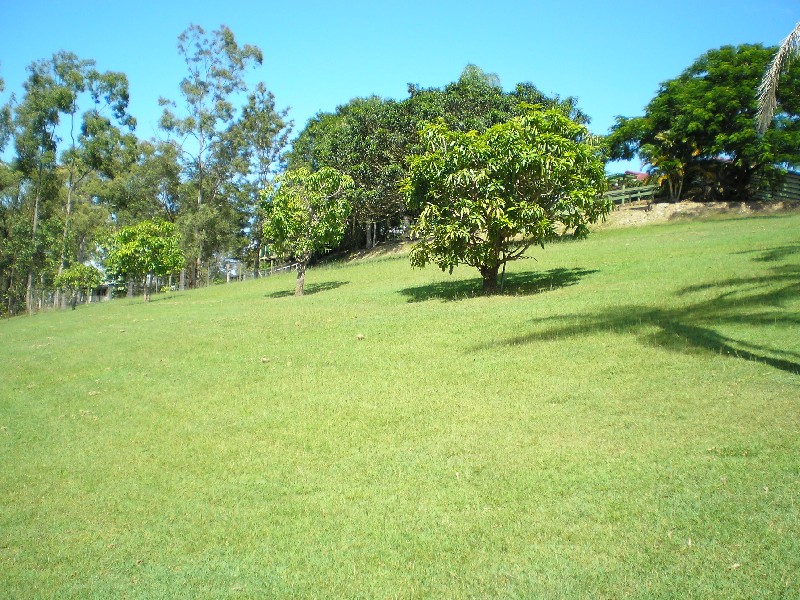 Bahrs Scrub QLD 4207