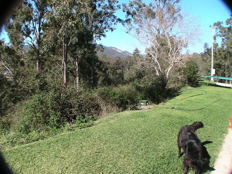 Wolffdene QLD 4207