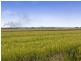 195 Norwell Rd, Jacobs Well QLD 4208
