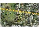 80 Milne Street, Mount Warren Park QLD 4207