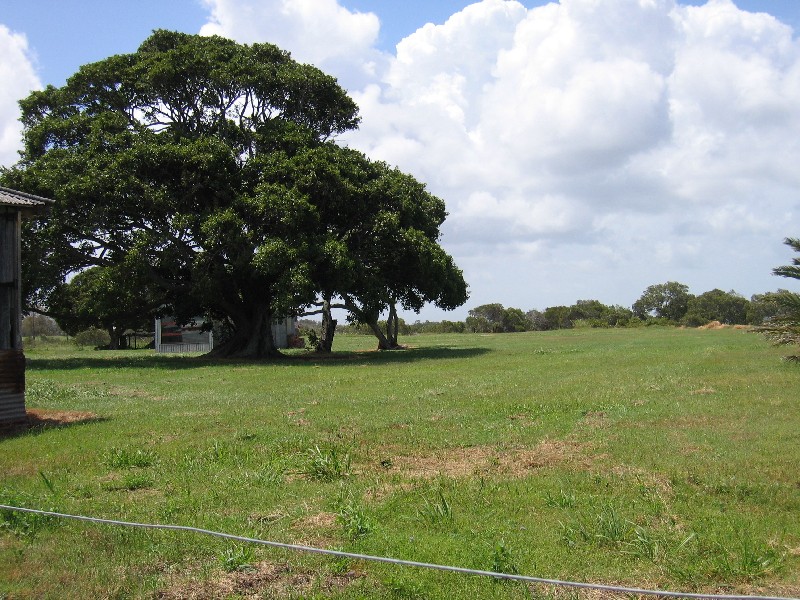 10 Hibiscus Street, Steiglitz QLD 4207