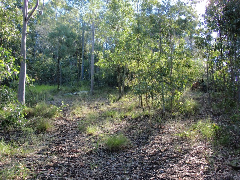 Holmview QLD 4207