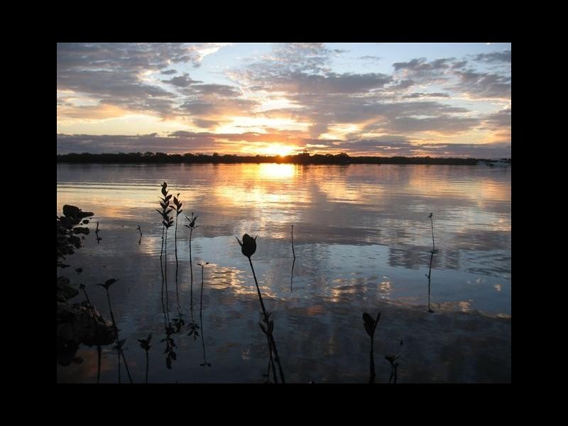 Jacobs Well QLD 4208
