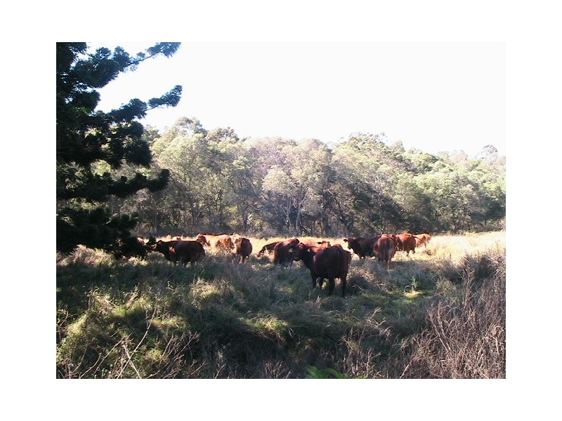 Alberton QLD 4207