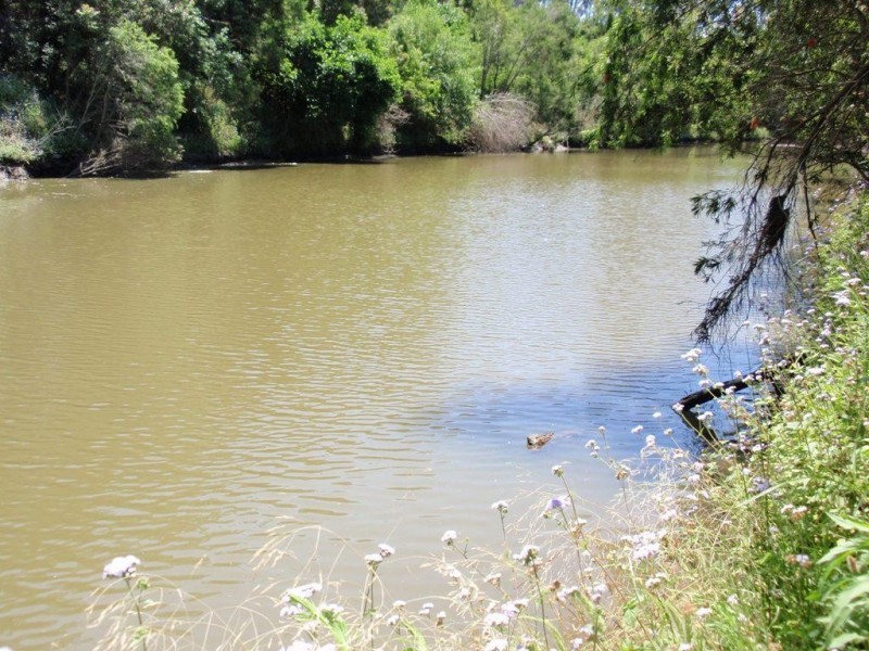 146 Musch Rd, Logan Village QLD 4207