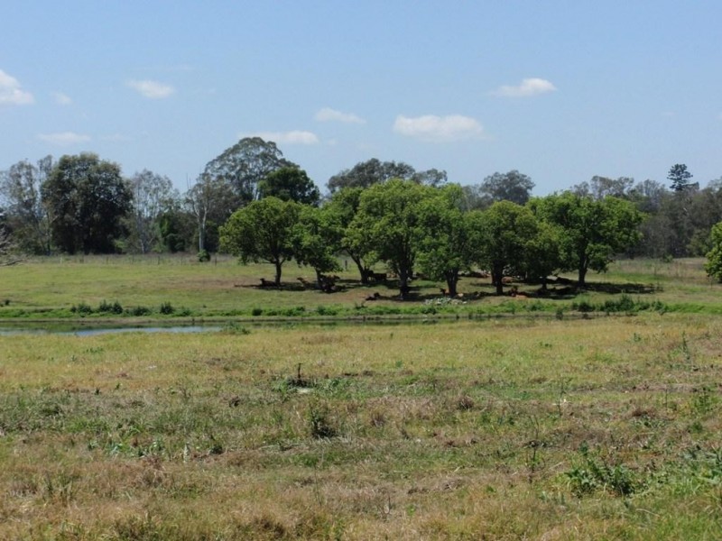 146 Musch Rd, Logan Village QLD 4207