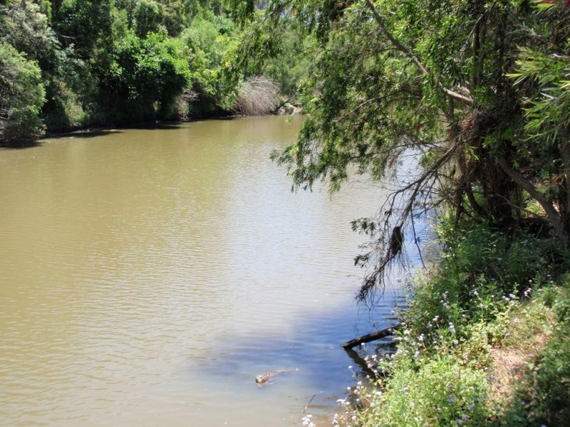 146 Musch Rd, Logan Village QLD 4207