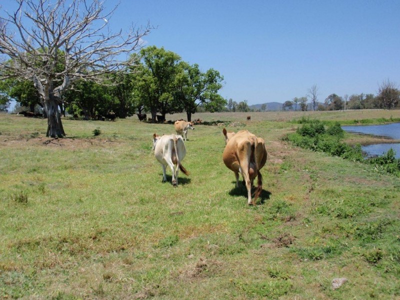 146 Musch Rd, Logan Village QLD 4207