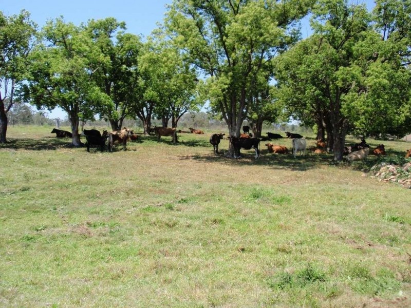 146 Musch Rd, Logan Village QLD 4207