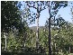 47-49  Enkleman Road, Yatala QLD 4207