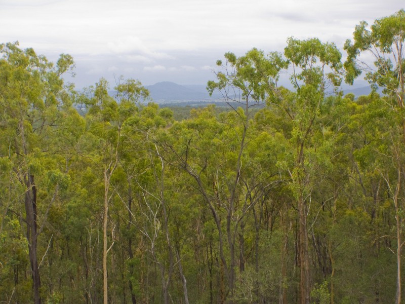 Tamborine QLD 4270