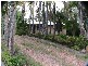 13 Geelong Court, Eagleby QLD 4207
