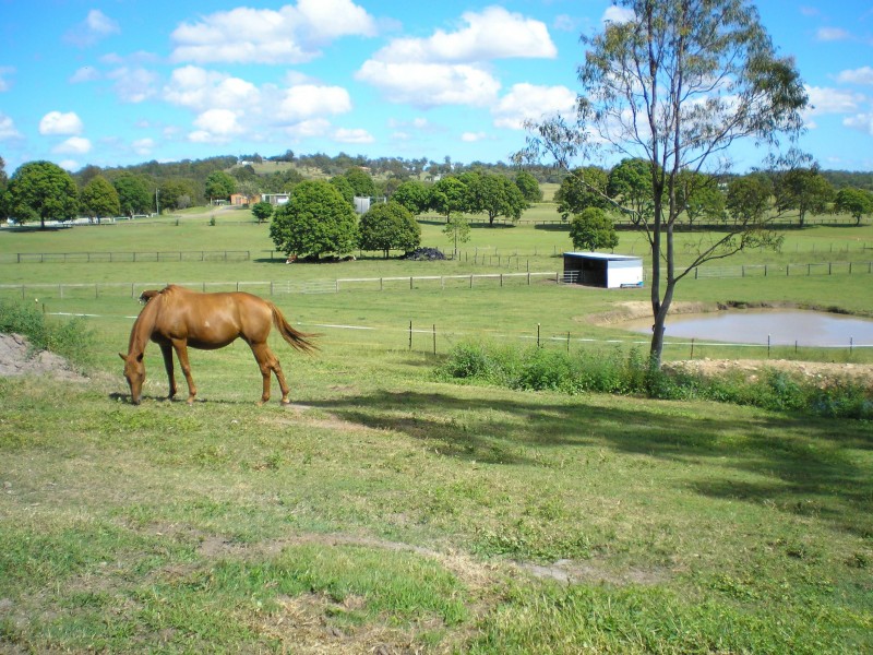Buccan QLD 4207