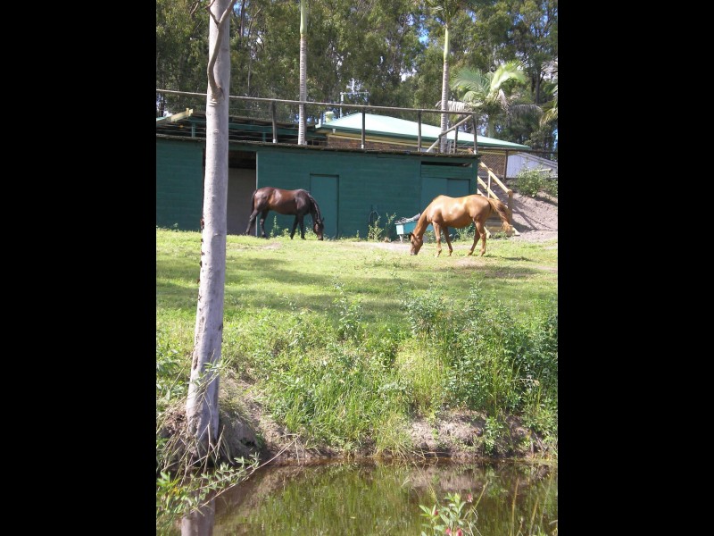 Buccan QLD 4207