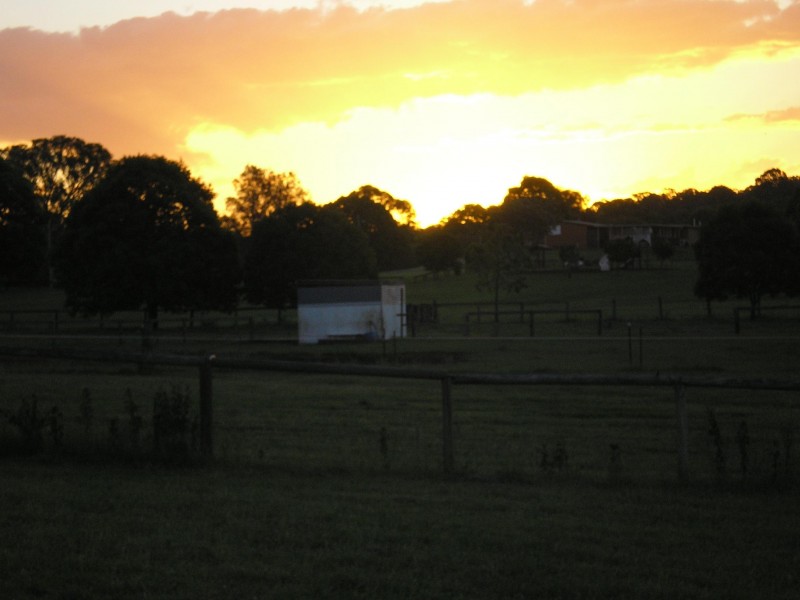 Buccan QLD 4207