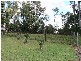 Alberton QLD 4207