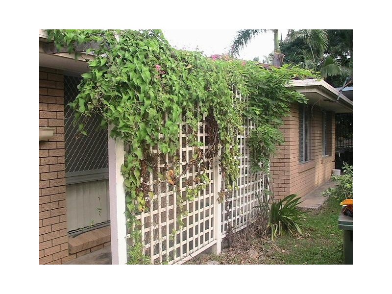 Beenleigh QLD 4207