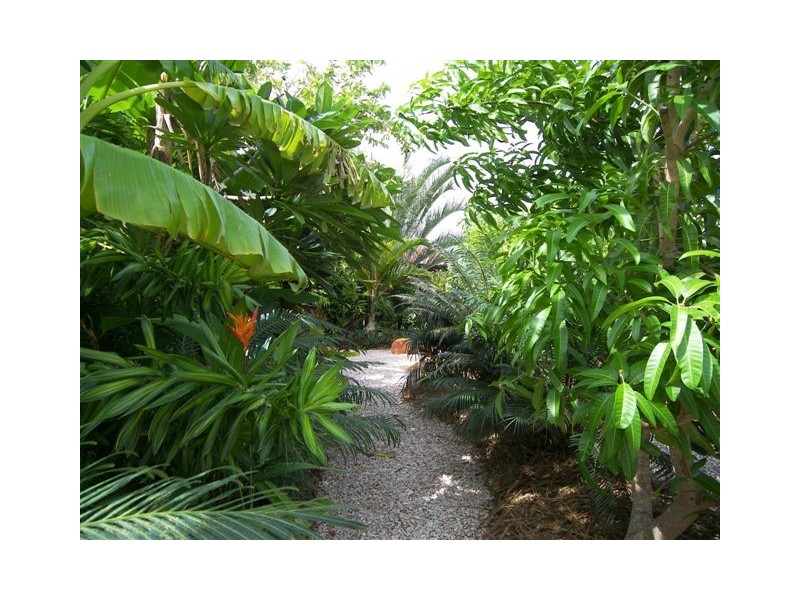 80 Sanderling Drive, Broome WA 6725