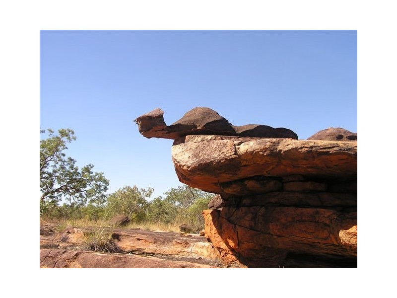 1 Bush Track Safaris, Broome WA 6725