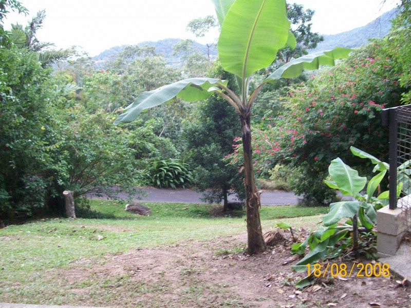 39 Brinsmead Terrace, Kanimbla QLD 4870