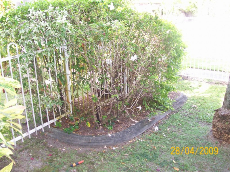 3/6 springfield crt, Manoora QLD 4870