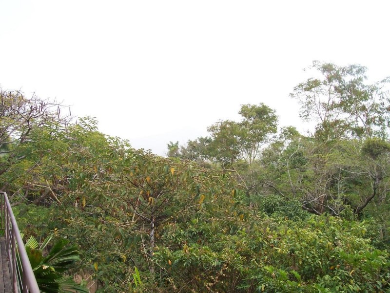 9-11 Cochrane, Stratford QLD 4870