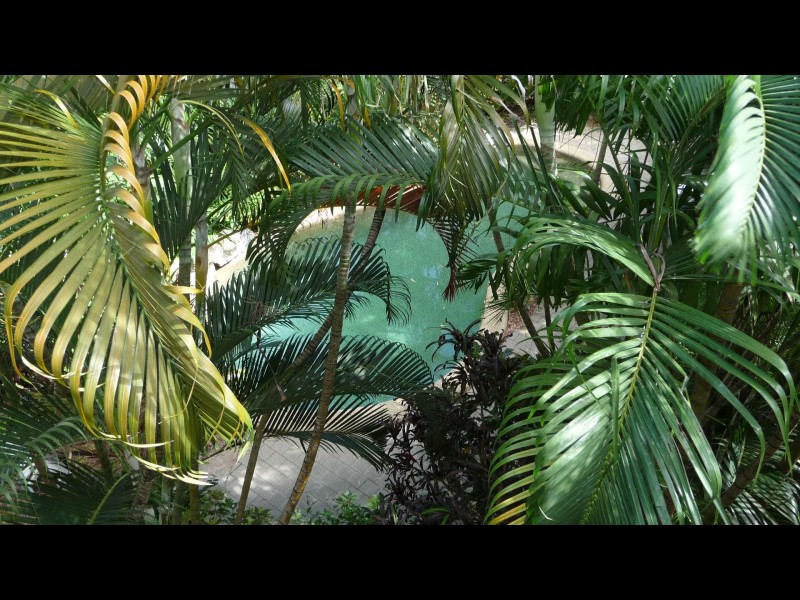 16/25 Digger Street, Cairns QLD 4870